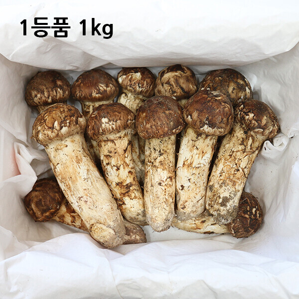 자연농원(송이),1등품 1kg