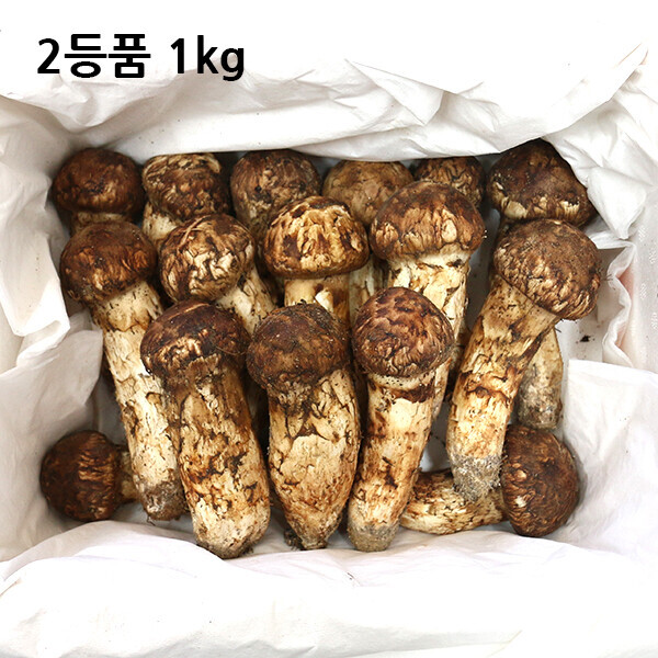 자연농원(송이),2등품 1kg