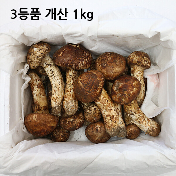 자연농원(송이),3등품 개산품 1kg
