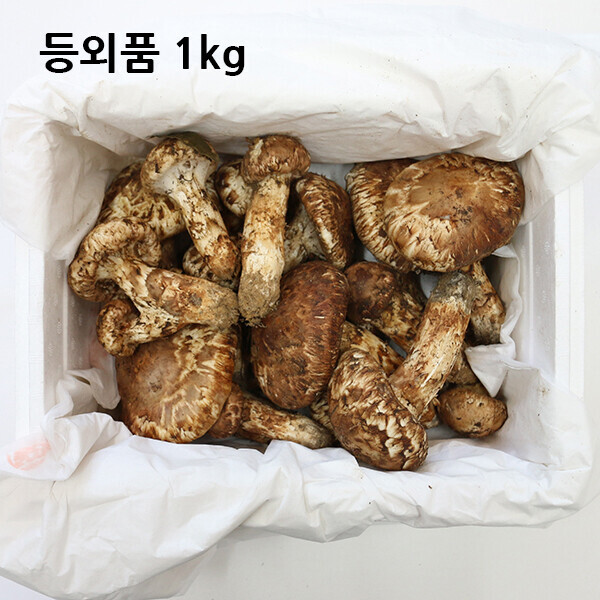 자연농원(송이),등외품 1kg
