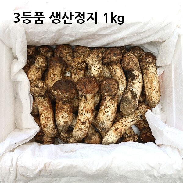 자연농원(송이),3등품 생산정지품 1kg