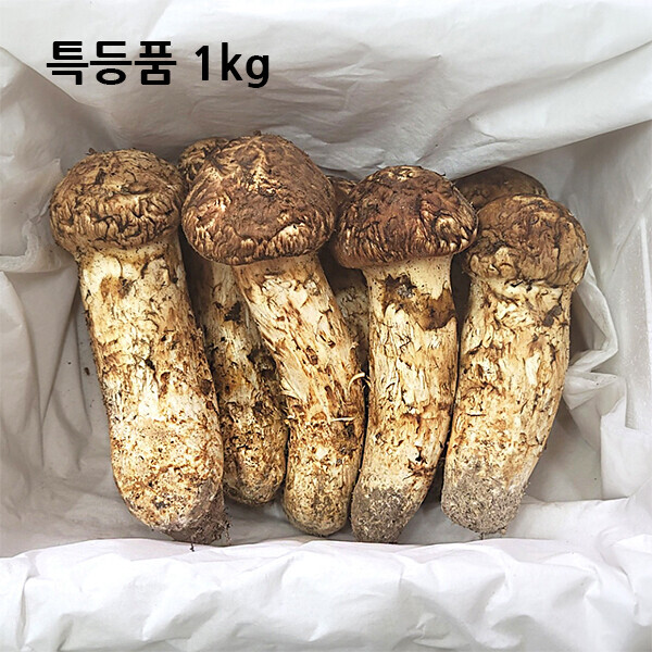 자연농원(송이),특등품 1kg